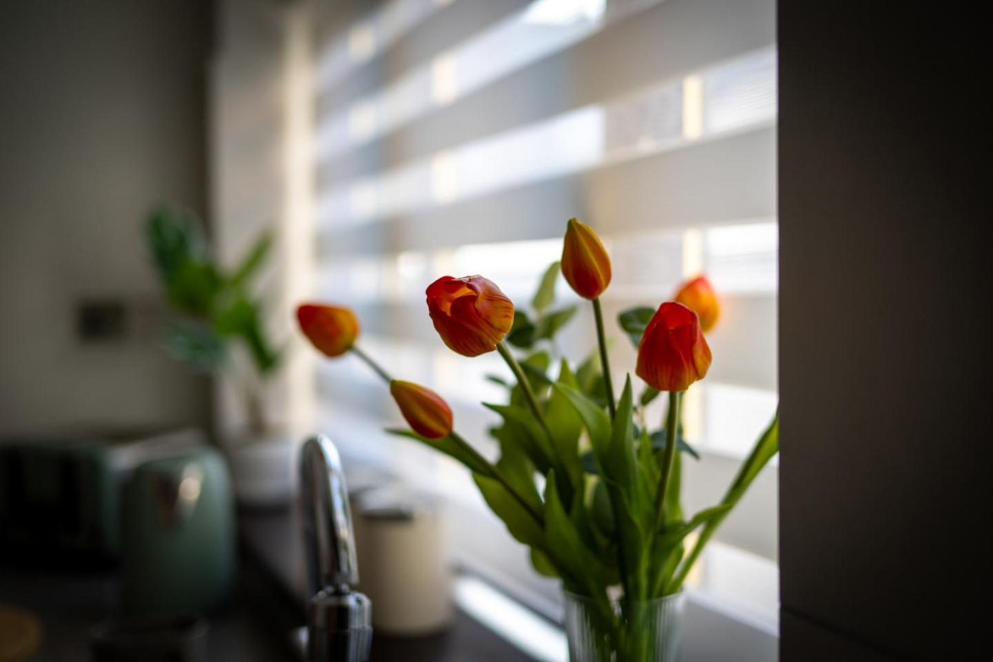 A50 - 3 Bedrooms - 3 Bathrooms Incl 2 Ensuites House Apartment Stoke-on-Trent